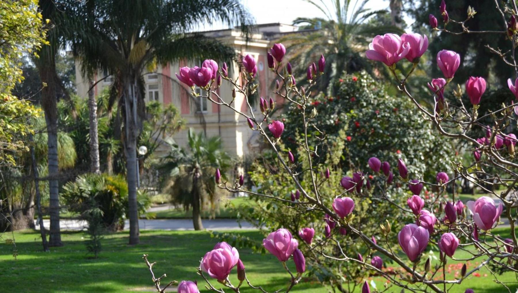 Casina Via Foria *